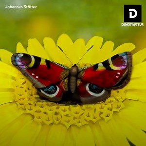 14 shares | Camera roll on Reels | Facebook