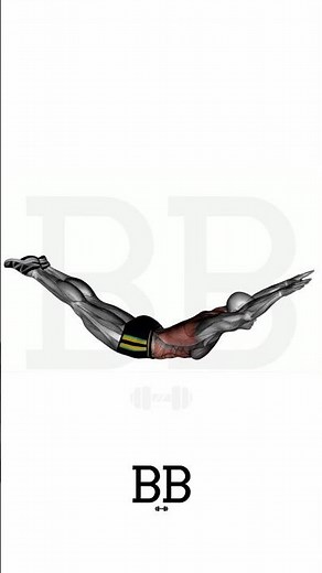 The Superman (BACK): Fix Your Posture & Strengthen Your Spine! 🦸‍♂️💪