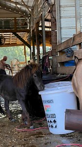 Why we can’t have nice things 😅 | Jennifer Guilbert Aylesworth