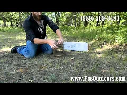 How to Set a Kness Live Cage Trap, Setting Chipmunk Traps!