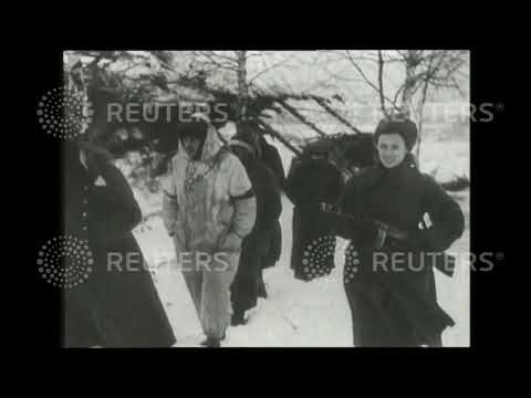 1943 The central and southern fronts of the Eastern Front