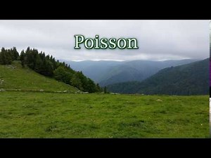 How to pronounce poisson in French