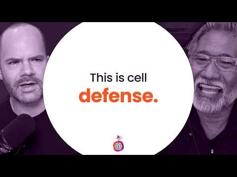 The Cell Danger Response Explained (Why You’re Not Healing) | HOMe Podcast #006