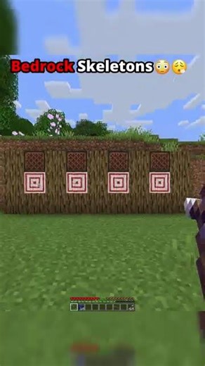 Java vs. Bedrock skeletons