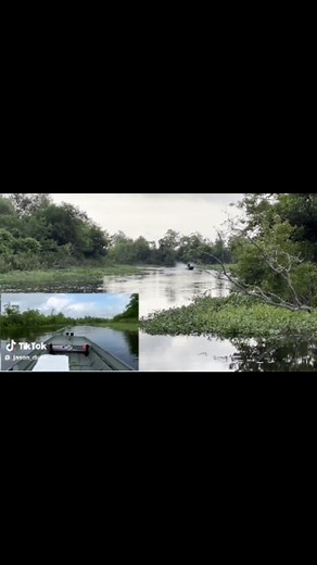 1.4K views | #mudskippermudmotors #mudmotor #mudmotors #mudboat #mudboats #surfacedrivemudmotor #surfacedrivemudmotors #surfacedrives #duckboat #huntingboat #jonboat #tinboat #tinyboat #aluminumboats #duckseason #waterfowler #hunting #duckhunter #flatbottomboat #waterfowlhunting #smallengine #4stroke #skinnywater #mud #4x4 #boatmotor #outboards #outboardalternative #makingtheoutdoorsaffordable | Mud-Skipper.com | Facebook