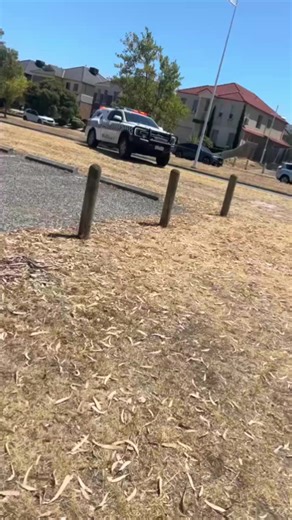 Exploring the Ride-Out Experience and Its Impact