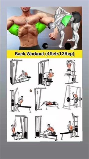 Best Workout 4Set *12Rep