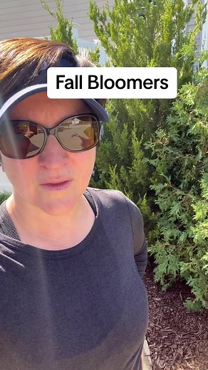 Here are some great plants that will add fall blooming color to your perennial beds. Sweet Autumn clematis, sedum, Russian sage, asters, blue spirea or Caryopteris, there are types of allium that bloom in late summer and fall, geranium Rosann is still blooming since June and so is Agastache Blue Fortune/Giant Hyssop. #Zone5 #Zone5Gardening #Zone5B #Zone5BGardening #Garden #Gardening #GardeningLife #BeginnerGardening #gardening101 #gardenhacks #gardeningtips #gardeningtipsforbeginners #GardeningF