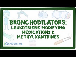 Bronchodilators: Leukotriene antagonists and methylxanthines