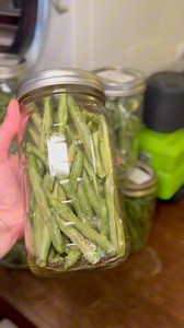 Here’s how I make my freeze dried green beans! Let me know your freeze drying questions and I will be happy to make a video of them 🙂#freezedried #freezedryer #freezedriedmeal #mre #homestead #foodpreservation #foodprep #foodpreplife #foodprepping #prep #prepper #homesteader #homesteading #gardenharvest #growyourownfood #backyardfarm #backyardgarden #fyp #freezedriedsnack #healthysnack #healthysnackideas | Rosehips Rewritten