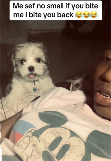 Adorable Puppy Barking Compilation to Brighten Your Day