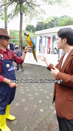 Burungnya(hewan) kerja tergantung mood