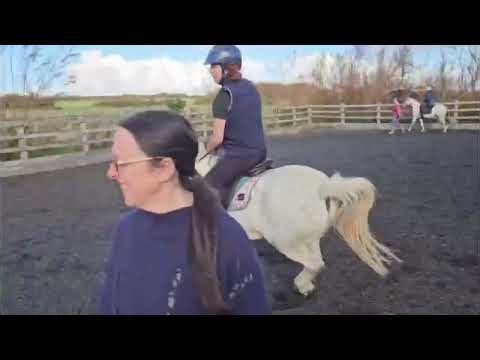 Pony ad 2