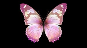 Butterfly, Flapping Wings, Moving. Free Stock Video