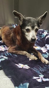 25K views · 2.6K reactions | Happy update, Minnie was rescued...