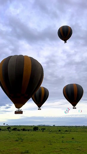 Good morning from Serengeti National Park, the crown jewel of Africa's national parks! Experience the life time adventure with a safari from the skysafari. It's an absolute must do when visiting the Serengeti. #MiracleExperience #ExperienceTogether