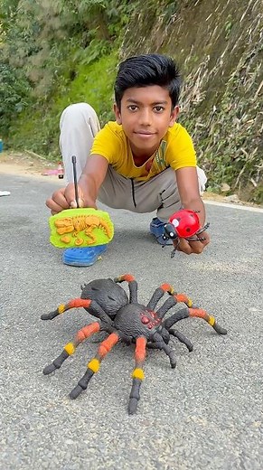 RC Makdi Vs Ladybird 🐞| Scary Real reaction 😱