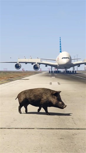 Boar Unexpectedly Comes On Active Runway During Airbus A-380 Emergency Landing Gtav