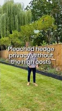 Pleached hedge privacy without high cost