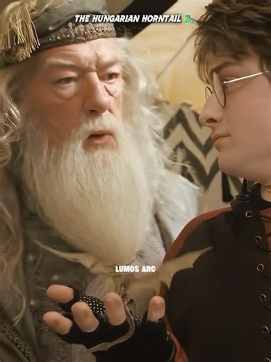 Harry Potter || Hungarian Horntail 🐉 #shorts #hogwarts #hermionegranger #ronweasley #harmione