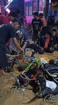 PUTRO KALI JATI On KALCER | #short #seni #budaya #carnaval #sports #trip #subscribe