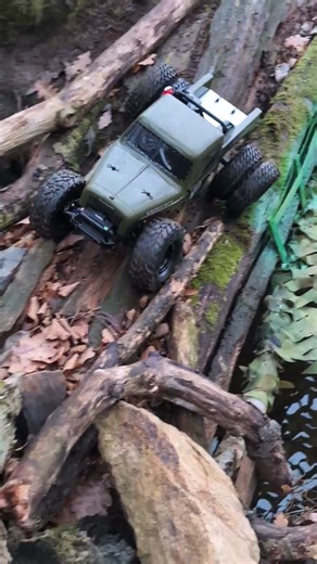 Element RC Enduro Ecto Trail Truck #crawlerpark#offroad #wald