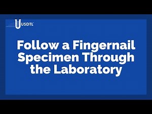 Follow a Fingernail Specimen Through the Lab