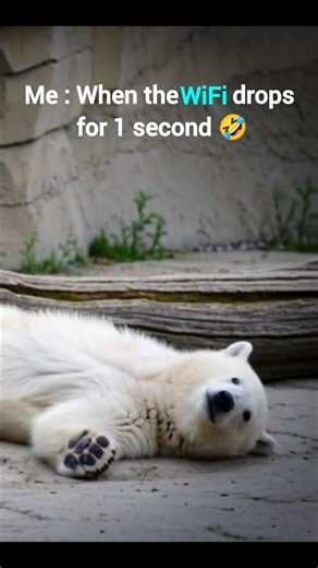 Me when the WiFi disconnects at 99%... 🤬🐻#memes #funny #relatable #shorts