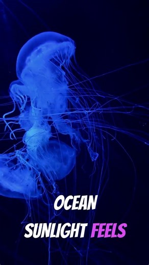Reddit #story #storytelling #storytime #underwater #fyp #viral #viralvideo #viralshorts #reddit