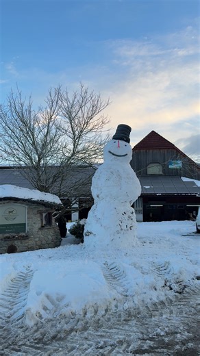 Build the Biggest Snowman on Your Farm