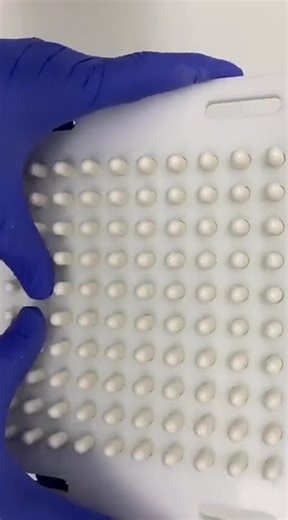 the process of filling drug powder into capsule containers