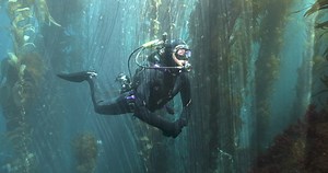  Ready to elevate your scuba diving experience to new heights of adventure? Transform into an Avelo diver and open the door to a realm of exhilarating escapades! Tap the link below to plunge into the thrill: https://www.abyss.com.au/en/avelo ✨ #ExploreAvelo #ScubaDivingAdventure | Abyss Scuba Diving | Facebook