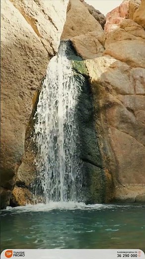 𝐂𝐢𝐫𝐜𝐮𝐢𝐭 𝐒𝐮𝐝 𝐓𝐮𝐧𝐢𝐬𝐢𝐞𝐧 🌴🐪 | 𝐓𝐮𝐧𝐢𝐬𝐢𝐞 𝐏𝐫𝐨𝐦𝐨