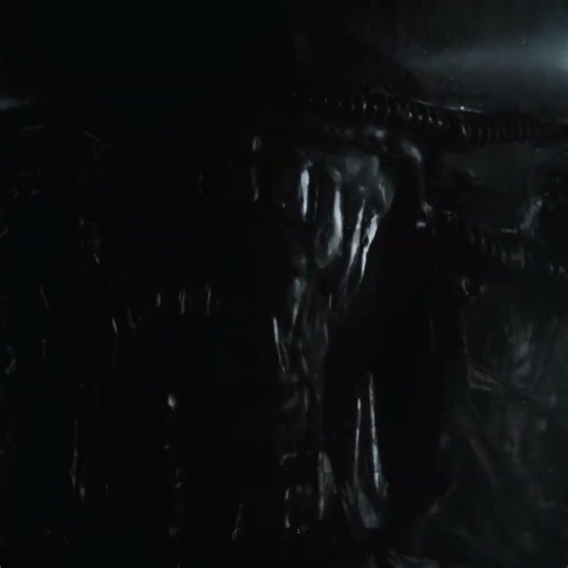 ALIEN... #horrormovies #filmesdeterror #xenomorph #alien #mkx #warnerbros