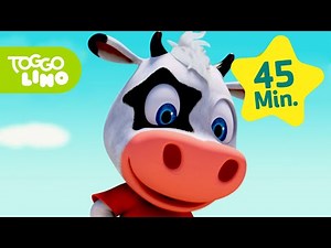 Toggolino und sein Lieblingsspiel | Abenteuer mit Toggolino