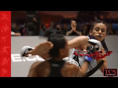 Karate Girl gives The Knockout Kick Pure Speed And Power