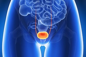 Urinary tract infections: symptoms and diagnosis of cystitis
