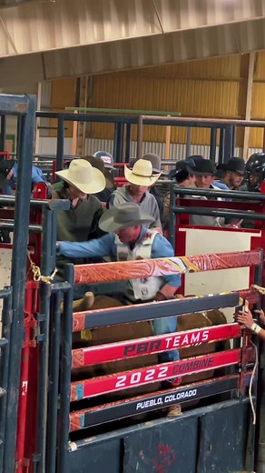 Exciting Bull Riding Showcase at PBR Teams 2022