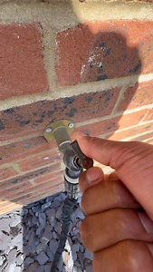 Nothing like starting the morning off with a shower! . . #mikeyandmia #shower #gardennetting #birds #macaws #parrots | Mikey and Mia