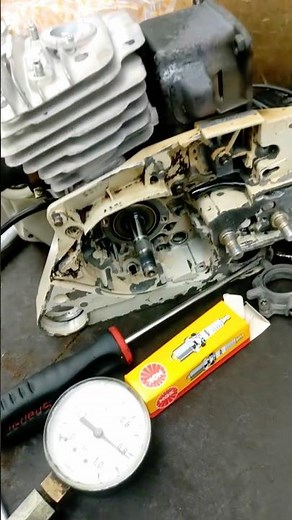 036 rebuild #STIHL#STIHLUSA#fy#fyp#chainsaw#logging#logger