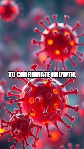 Five Fresh Frontiers in Daily Science Bites