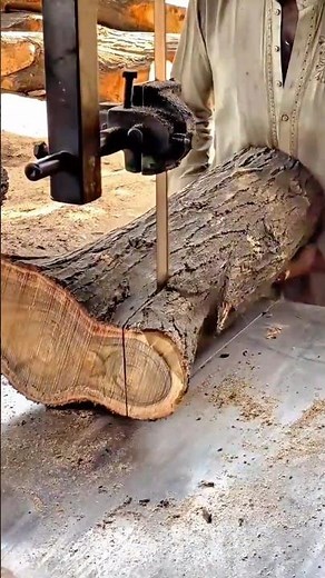 Skillfully Cutting a Large Tree Trunk into Planks Using a Precision Bandsaw Machine