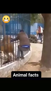 249K views · 1.1K reactions | When talking to animals goes...