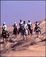 New equine movie blockbuster - Horse & Hound