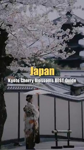 The Ultimate Kyoto Cherry Blossom Guide 2026 | Top 5 Spots & Forecast Tips