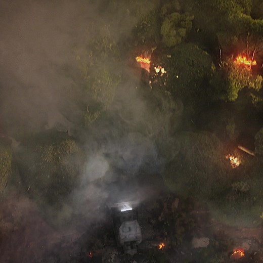 WWF animal adoptions make perfect Christmas presents. When you adopt a jaguar, you're protecting the rainforest and everything in it. Together, we can adopt a better future. | WWF UK