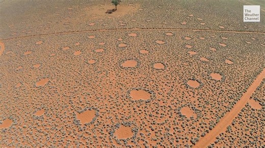 5.2K views · 59 reactions | What's swallowing up farmland? And what's pulsing beneath the Arctic ice? Find out on the next episode of Weird Earth, this Sunday at 8/7c on The Weather Channel. | The Weather Channel Originals | Facebook