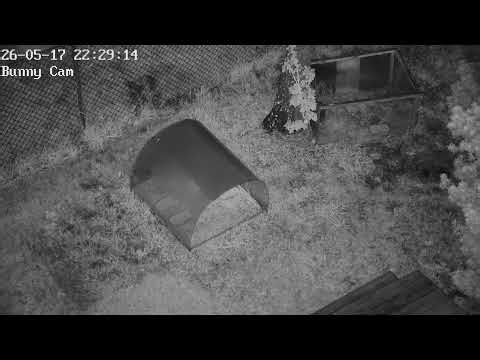 DrFox2000 - LIVE 24/7