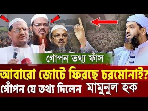 আবারো নতুন করে জোটে ফিরার আভাস =কঠিন হুংকারে=যা বললেন মামুনুল হক। allama mamunul haque=01/2/26 #ep34