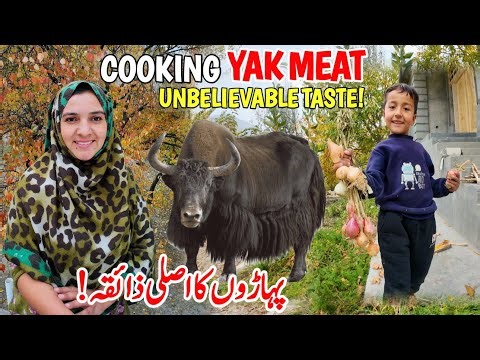 We Cooked Real Mountain Yak Meat! Unbelievable Organic Taste from Gilgit 🏔️🍖| Mountain Village Vlog
